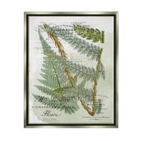 Stupell Vintage Vegetacija Razne Paprati Botaničko-Cvjetno Slikarstvo Siva Plutač Uokvirena Umjetnost Print