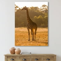Afrička žirafa u Umjetničkoj štampi na platnu Wildlife II fotografije