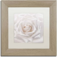 Zaštitni znak likovne umjetnosti meka bijela ruža umjetnost cora niele, bijeli mat, breza okvir