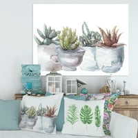 Sočne i kaktusne Kućne biljke IV slikarstvo platno Art Print