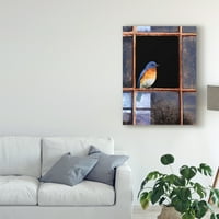 Zaštitni znak likovne umjetnosti' prozor Plave ptice ' platno Art Chris Vest